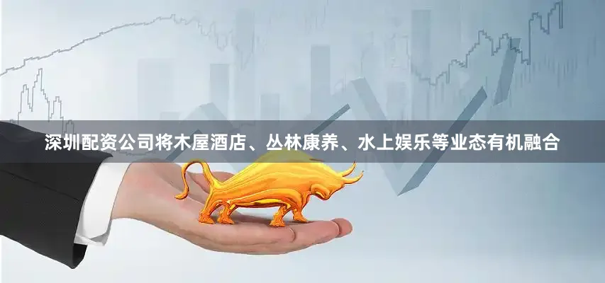 深圳配资公司将木屋酒店、丛林康养、水上娱乐等业态有机融合